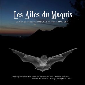 AfficheFilm_Les-ailes-du-maquis
